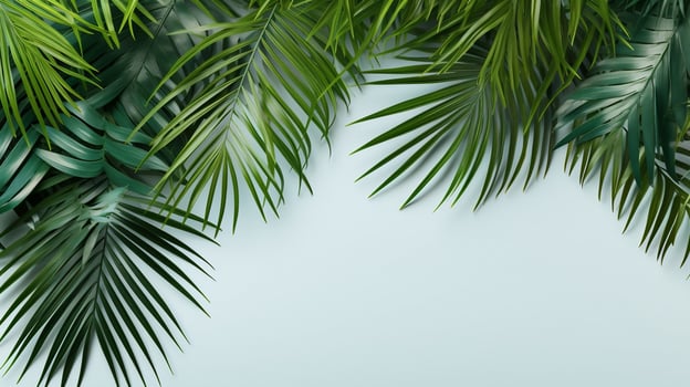Coconut leaves background photo