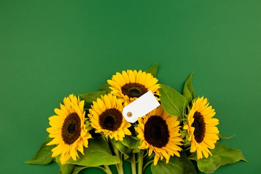 Bouquet of sunflowers with blank tag on dark green background. Valentine's, womens, mothers day, easter, birthday or wedding, spring holiday flat lay. Top view. Copy space. photo
