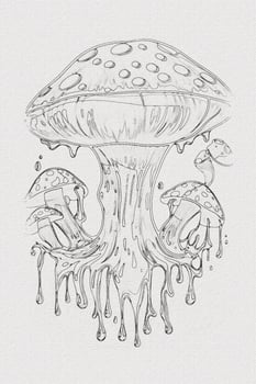 A hand-drawn sketch of a mushroom outline illustration on white texture background photo