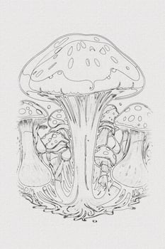 A hand-drawn sketch of a mushroom outline illustration on white texture background photo
