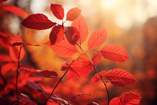 autumn composition with copy space AI Generative photo