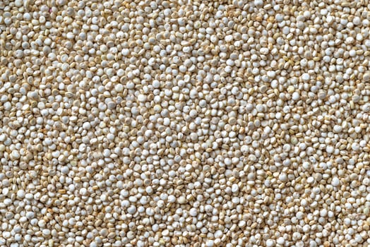 Quinoa top view photo