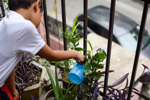Cute 5 year old Asian little boy is watering the plant in the pots located at house balcony, Love of sweet little boy for the mother nature during watering into plants, Kid Planting photo