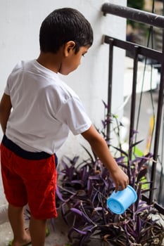 Cute 5 year old Asian little boy is watering the plant in the pots located at house balcony, Love of sweet little boy for the mother nature during watering into plants, Kid Planting photo