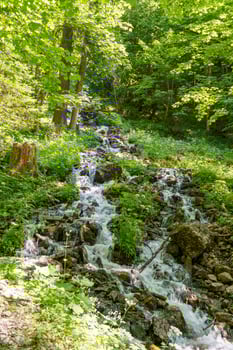 the beauty of austria photo