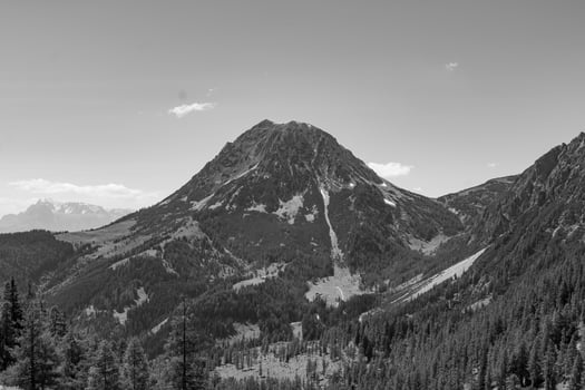 Summer time in Austria photo
