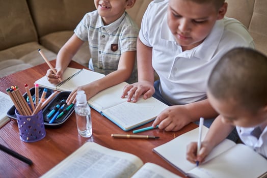 Brothers studying at home during the pandemic photo