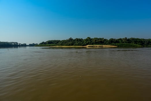 River landscape  and jungle,Pantanal, Brazil photo
