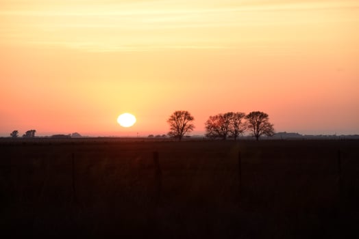 Rural sunset landscape, Buenos Aires province , Argentina photo