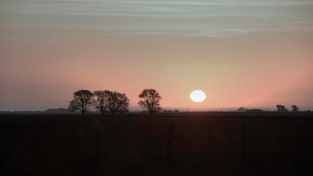 Rural sunset landscape, Buenos Aires province , Argentina photo