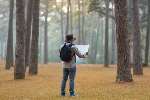 Asian naturalist looking at the map for direction while exploring wildlife in the pine forest for surveying and discovering the rare biological diversity and ecologist on the field study photo