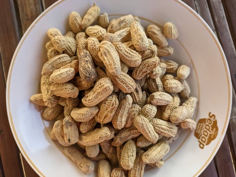 A peanuts, kacang tanah or kacang kulit photo
