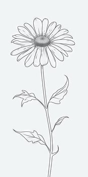 Simple Daisy Flower Doodle on White Background photo