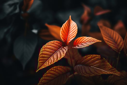 Close up of beautiful autumn leaves with water drops. Natural background AI generated photo