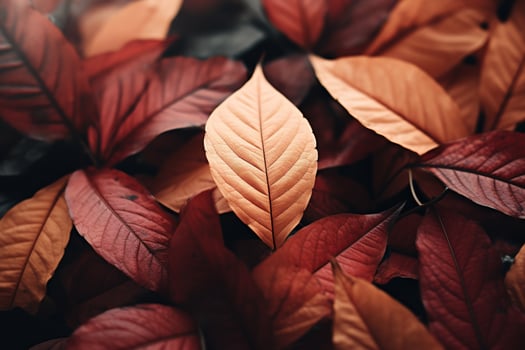 Close up of beautiful autumn leaves with water drops. Natural background AI generated photo