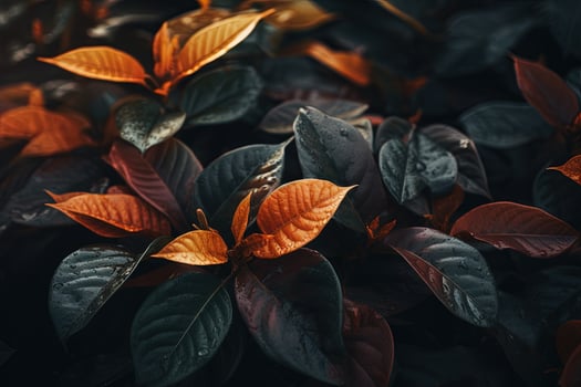 Close up of beautiful autumn leaves with water drops. Natural background AI generated photo