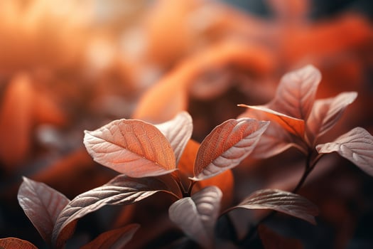 Close up of beautiful autumn leaves with water drops. Natural background AI generated photo