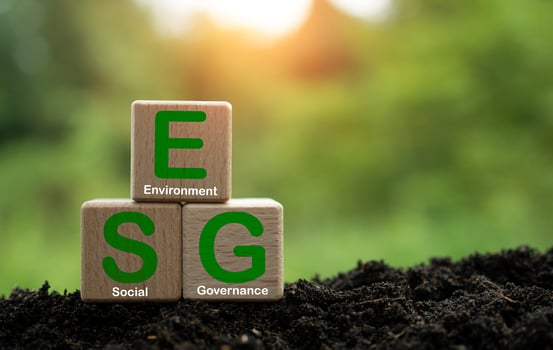 ESG concept for environment, society and governance in sustainable. business responsible environmental. photo