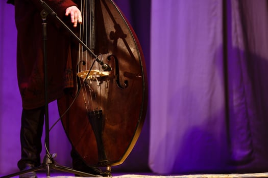 Acoustic double bass player. Man playing double bass on a concert photo