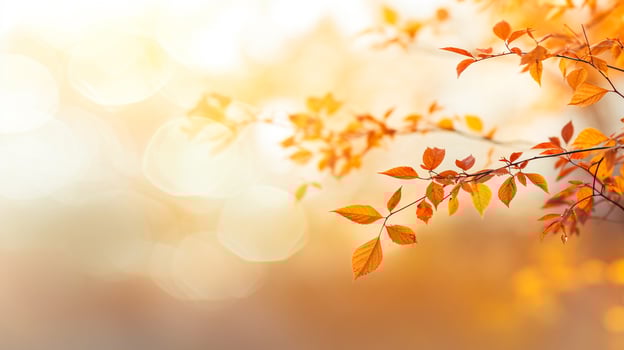 blurred autumn nature bokeh background generative AI photo