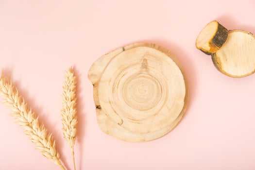 Podium or pedestal template mock up flat lay, top view. Autumn scene composition for cosmetics photo