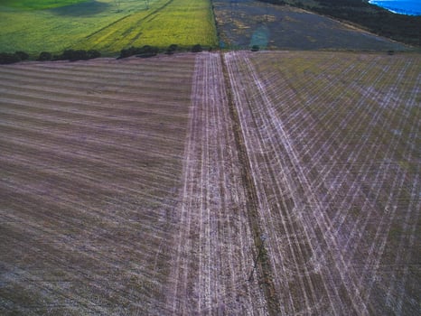 Coutryside planted with the direct sowing method, Pampas,Argentina photo