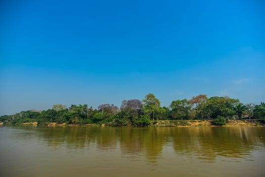 River landscape  and jungle,Pantanal, Brazil photo