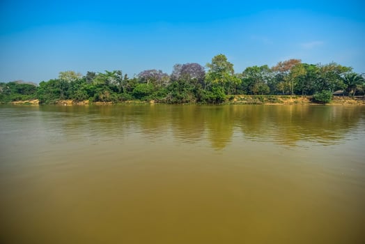 River landscape  and jungle,Pantanal, Brazil photo