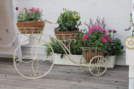 Summer decorative white bicycle with basket flowers in green garden. Flower pots in ornate bicycle in city park. Landscaping design. Decorative flower stand in the shape of a bicycle with flower pots photo