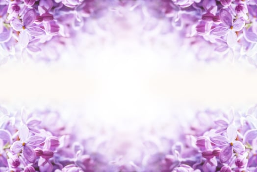 Romantic floral background with purple or violet lilac flowers photo
