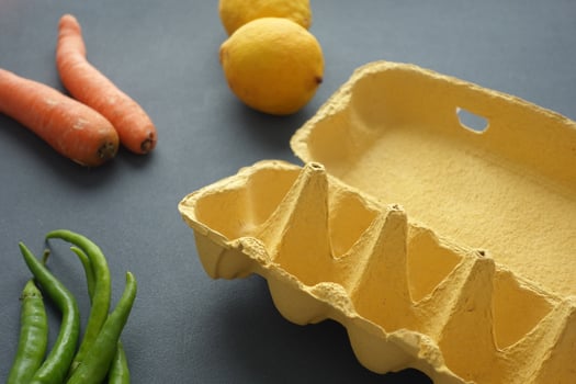 egg carton without eggs on table , photo