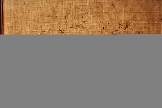 Old Book Cover Texture. Ai generative photo