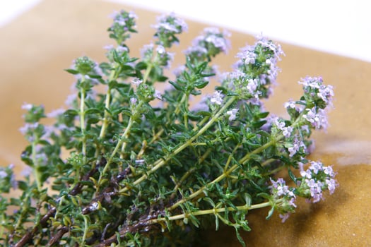 a bunch of herbs on a piece of paper photo