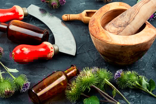 Medicinal plant burdock photo