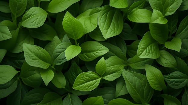 Close Examination of Small Green Leaves - Generated AI Focus photo