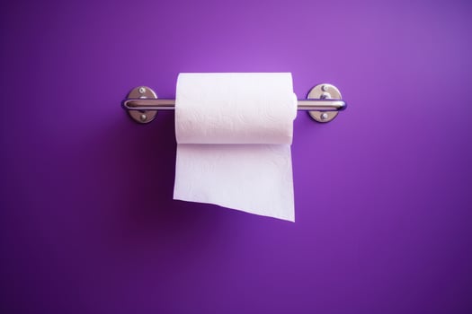 A white roll of soft toilet paper neatly hanging on a modern chrome holder. photo