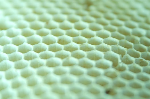 bee hives for honey production photo