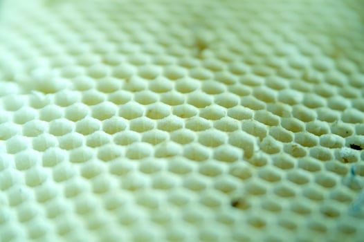 bee hives for honey production photo