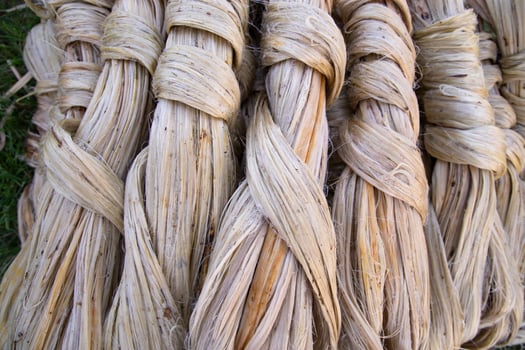 Thick Golden bundle of raw jute fiber Pattern Texture Can be used as a Background wallpaper photo