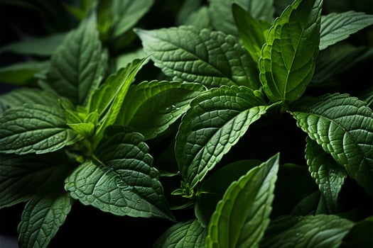 Green leaves intricate details form a beautiful natural background AI Generated photo