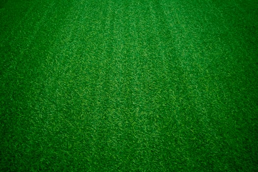 Green grass texture background grass garden concept used for making green background football pitch, Grass Golf, green lawn pattern textured background. photo