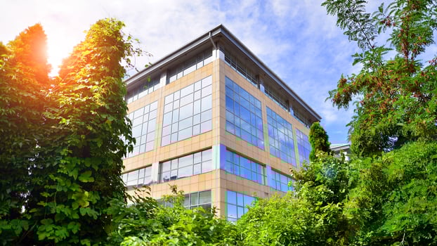 Eco building in modern city concept. Fresh green trees and office building, business concept. photo