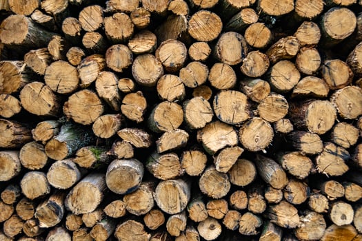 Photography on theme big wall of stacked oak tree logs in cracks photo