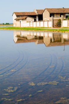 ancient farms in the rice fields in Vercelli Italy photo