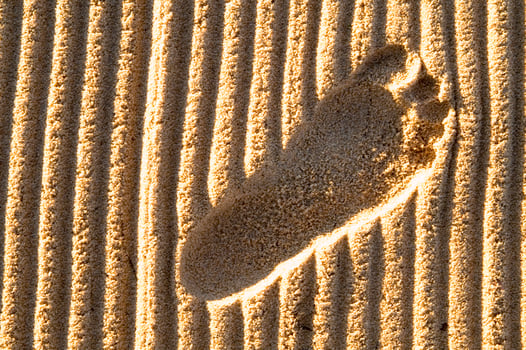 footprints in the sand photo