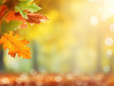 Autumn leaves background photo