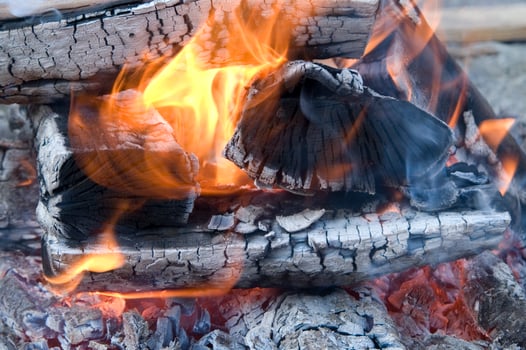a close up of a fire with wood and coal photo