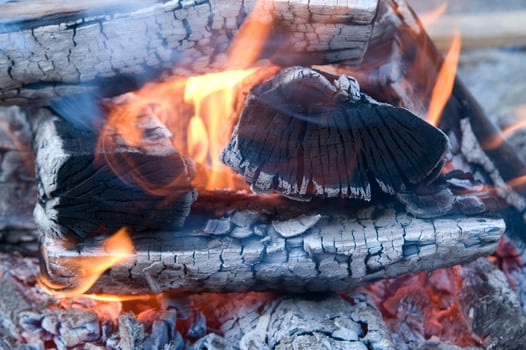 a close up of a fire with wood and coal photo