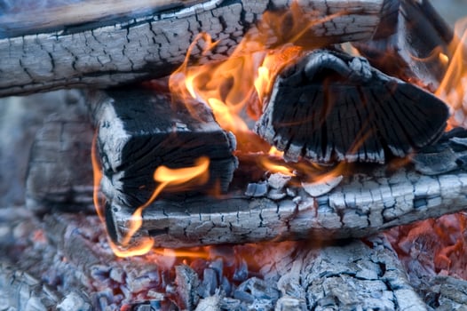 a close up of a fire with wood and coal photo