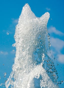 the water games of a fountain photo